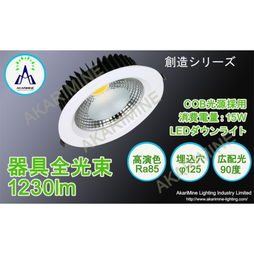 φ125埋込み穴 LEDダウンライト AkariMine AM-SouzouA15CK