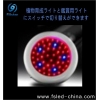 LED植物ライト FS-ZWD-120X3W(O) 画像