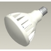 防水型 IP67 LED LAMP-18W TOP-PAR38-18W 画像